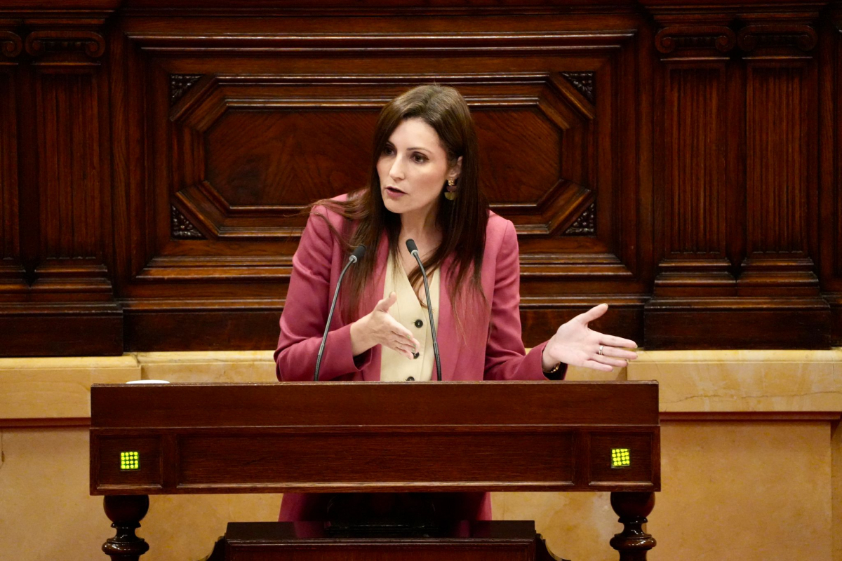 El Parlament veta una investigación independiente propuesta por el PP sobre el fraude millonario en la DGAIA